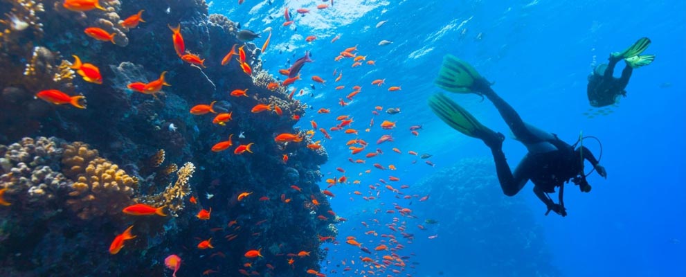 Scuba Diving and Snorkeling in India