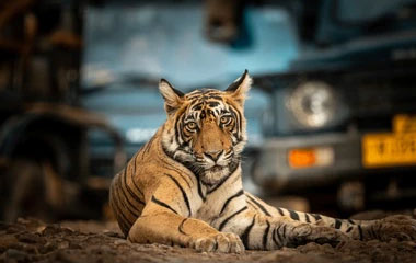 North India with Goa Vacations