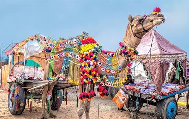 Pushkar Fair