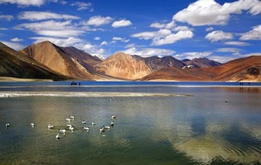 Rumtse - Tsomoriri Tour