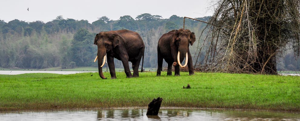 Kabini National Park
