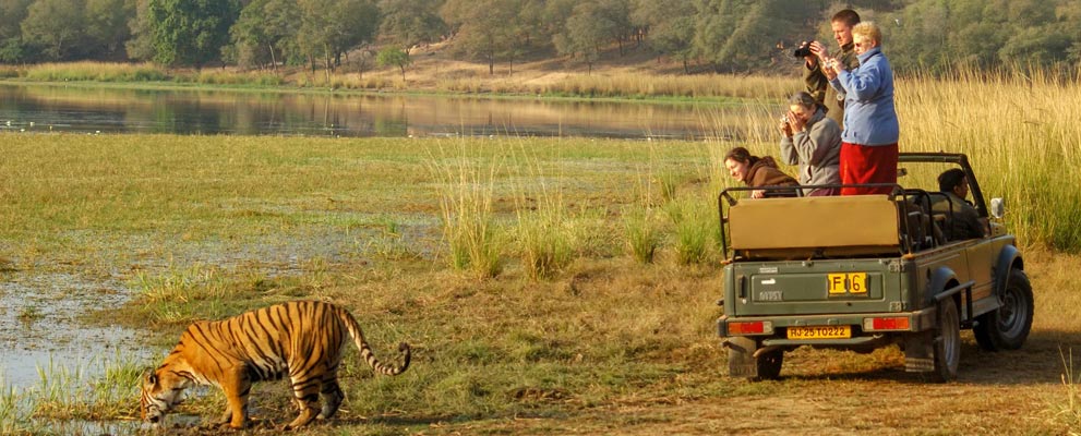 Ranthambore National Park