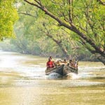 Sunderban National Park, West Bengal